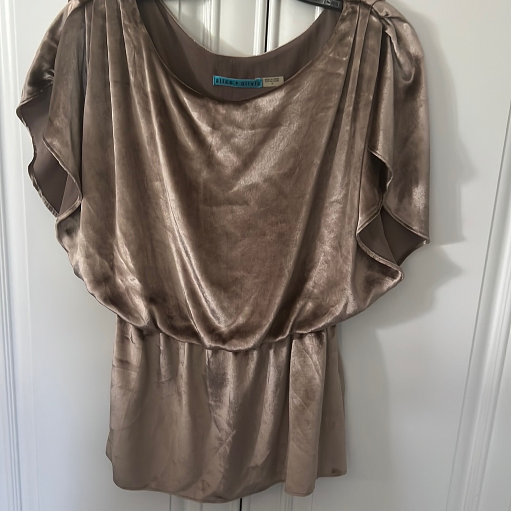 Alice And Olivia Velvet Taupe Blouson Top. Size Small. Only Worn Once